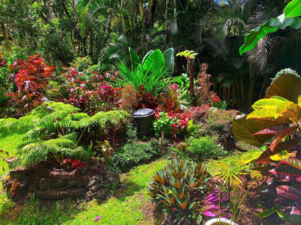 Phoenix Garden Pahoa Luaran gambar
