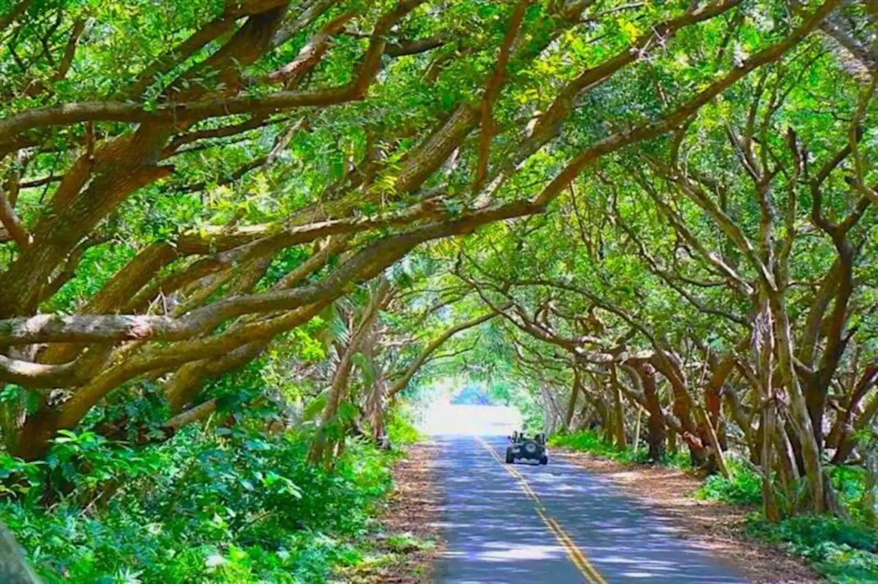 Phoenix Garden Pahoa Luaran gambar