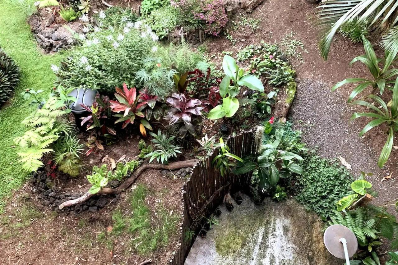 Phoenix Garden Pahoa Luaran gambar
